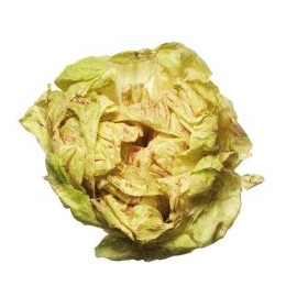 Radicchio Variegato Di...